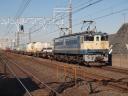 高速貨C第1455列車 EF65 1041[新]-コキ17両@市川〜船橋 2009/11/15 09:28